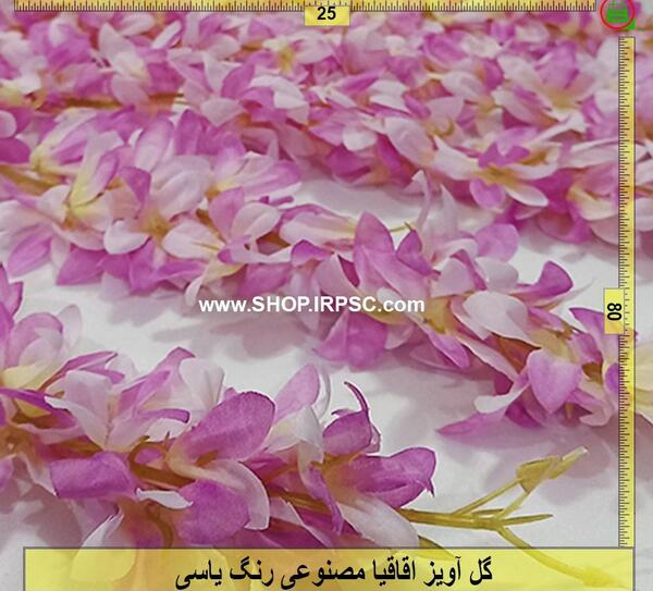 عکس گل اقاقیا بنفش