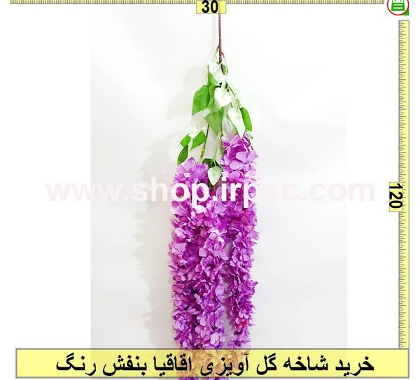 عکس گل اقاقیا بنفش