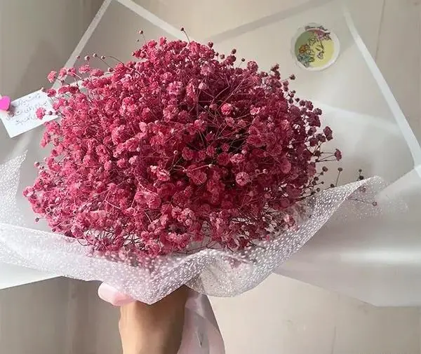 عکس گل کوچک زیبا