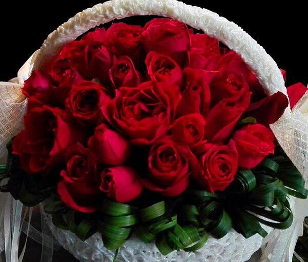 عکس گل کوچک زیبا