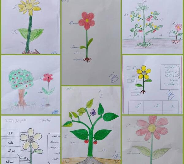 عکس گل برای نقاشی کلاس اول