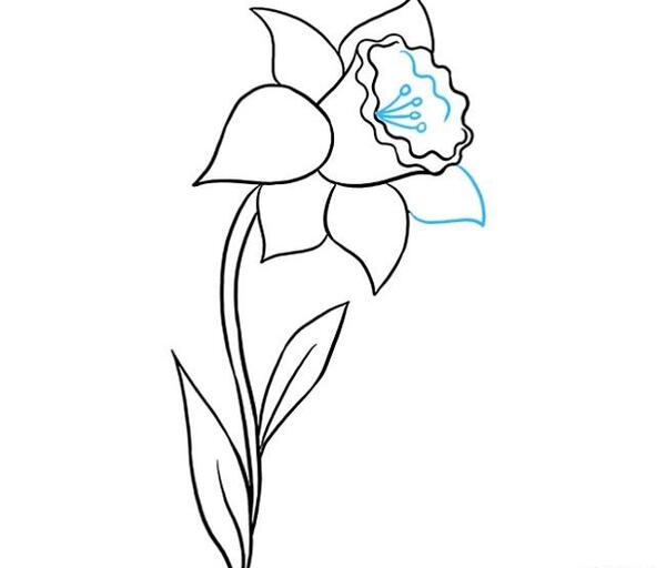 عکس گل برای نقاشی کلاس اول