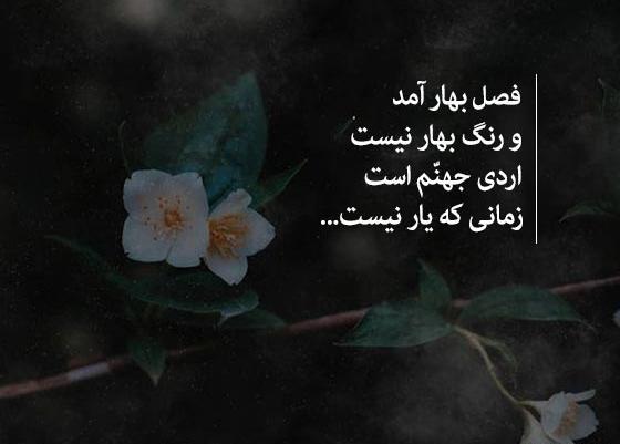 عکس عاشقانه علیرضا