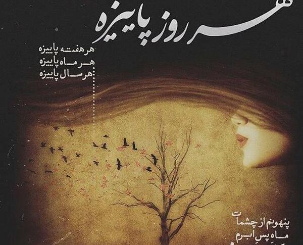 عکس عاشقانه پاییزی با متن