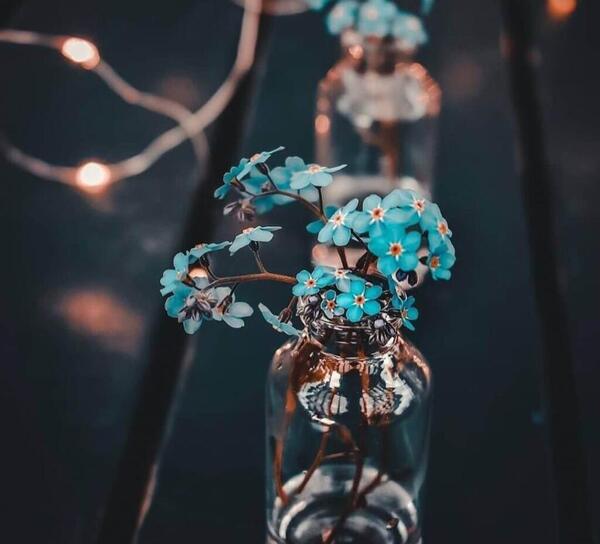 عکس پروفایل جذاب گل