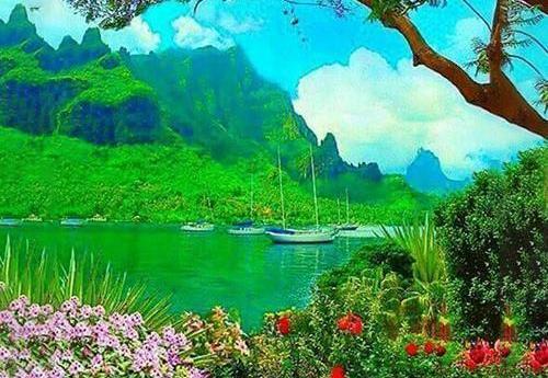 عکس های زیبا از طبیعت عاشقانه