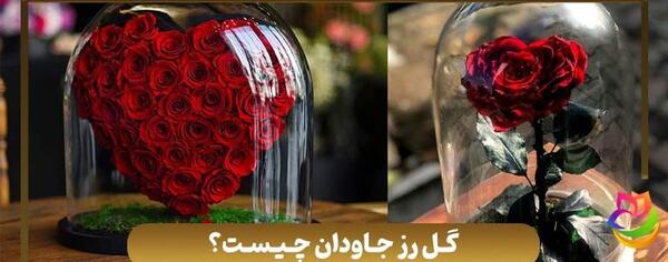 عکس گل جدید ۱۴۰۳