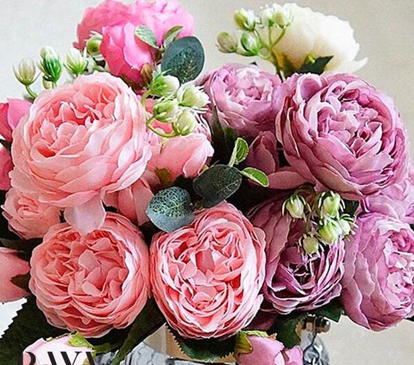 عکس گل صد برگ سفید