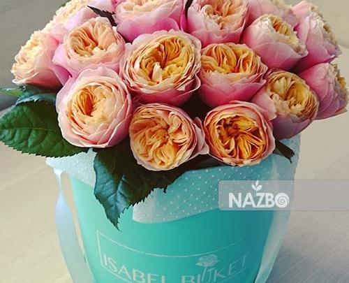عکس گل صد برگ سفید