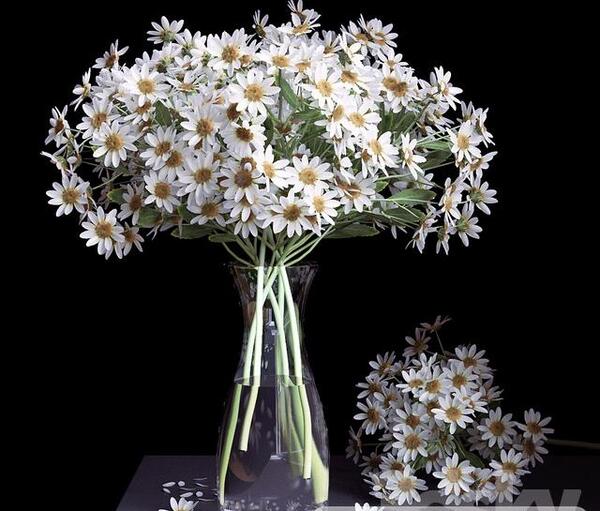 عکس گل بابونه در طبیعت