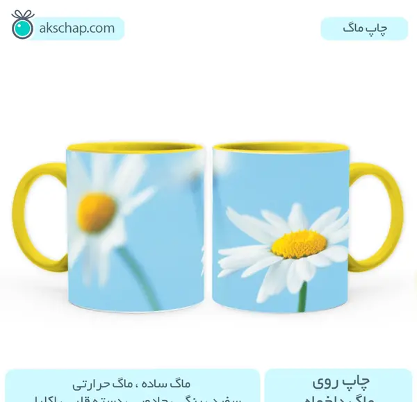 عکس گل بابونه در طبیعت