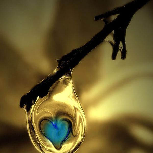 عکس زیبای عاشقانه جدید