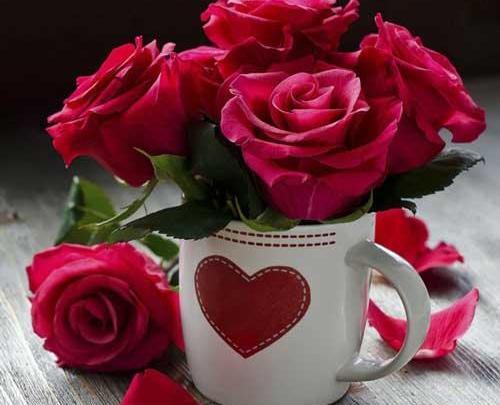 عکس پروفایل گل عاشقانه دونفره