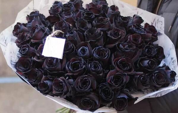 عکس گل رز سیاه برای تسلیت
