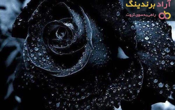 عکس گل رز سیاه برای تسلیت