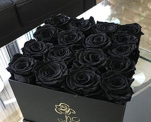 عکس گل رز سیاه برای تسلیت
