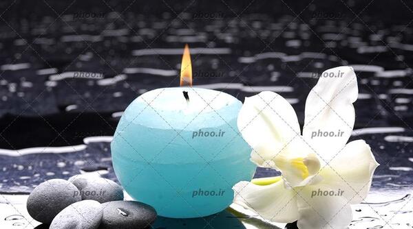 عکس گل ارکیده آبی