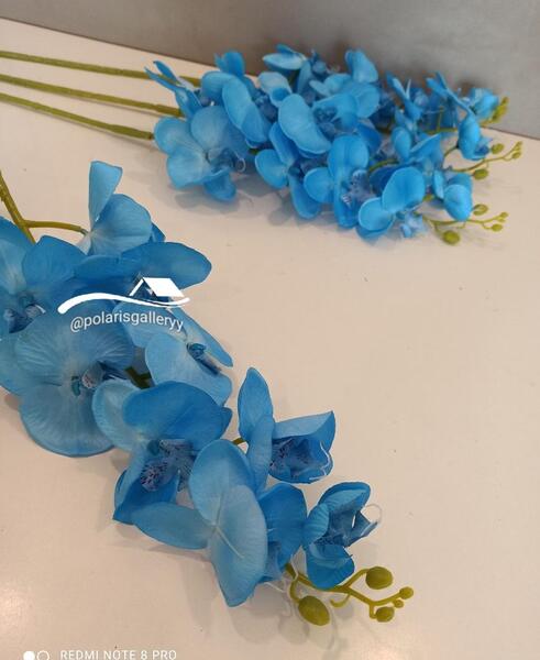 عکس گل ارکیده آبی