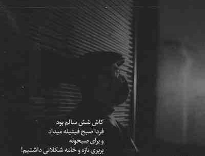 عکس سیاه و سفید گریه