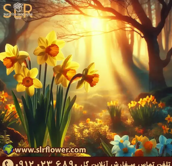 عکس گل نرگس برای پروفایل اینستا