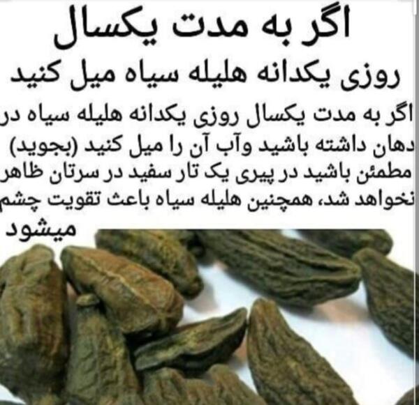 عکس میوه هلیله سیاه