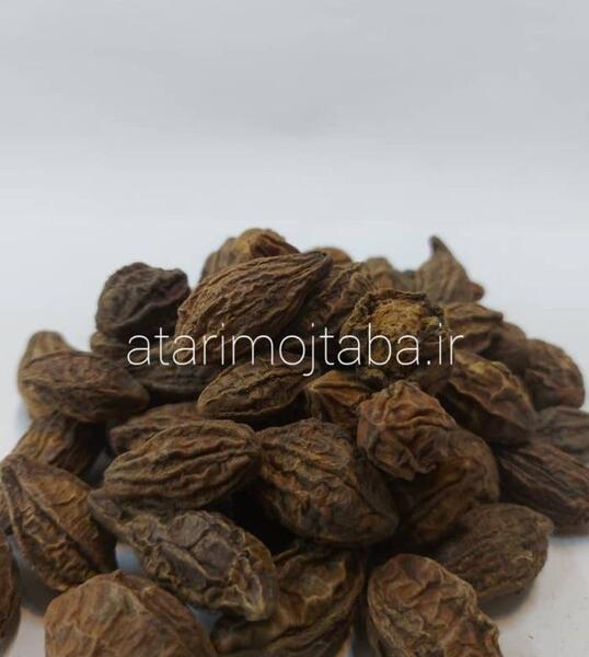 عکس میوه هلیله سیاه
