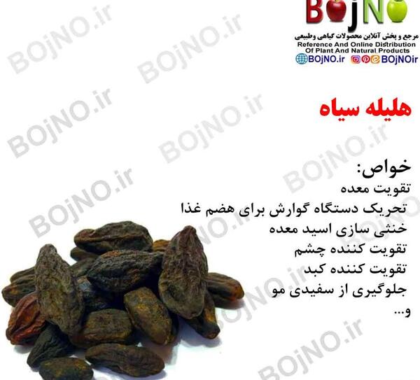 عکس میوه هلیله سیاه
