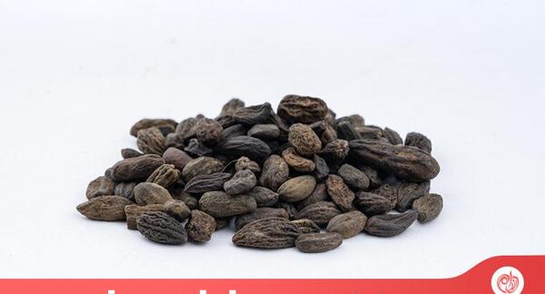 عکس میوه هلیله سیاه