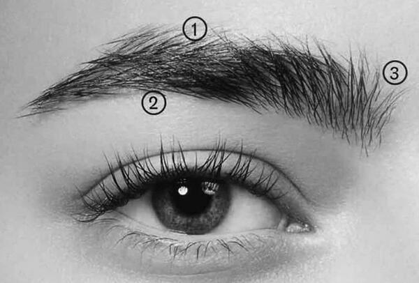 عکس طراحی سیاه قلم چشم