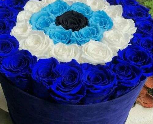عکس گل آبی رز