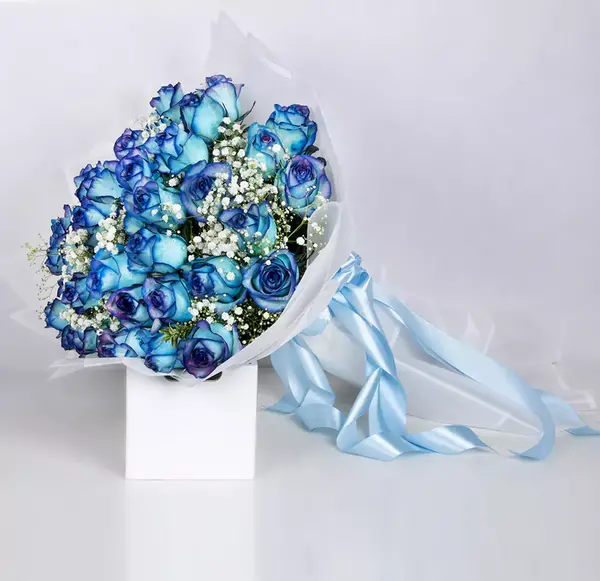 عکس گل آبی رز