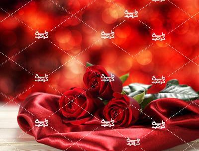 عکس عاشقانه با گل رز