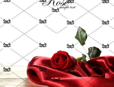 عکس عاشقانه با گل رز