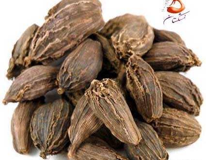 دانلود عکس هلیله سیاه