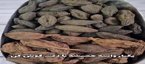 دانلود عکس هلیله سیاه