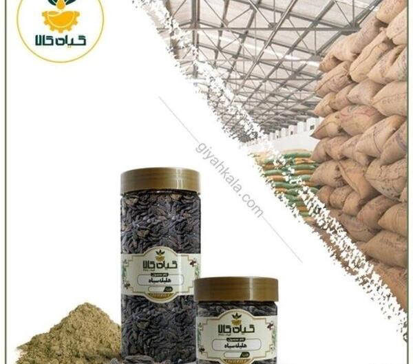 دانلود عکس هلیله سیاه