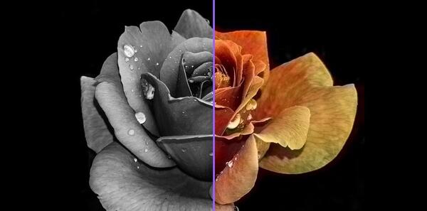 عکس سیاه سفید به رنگی
