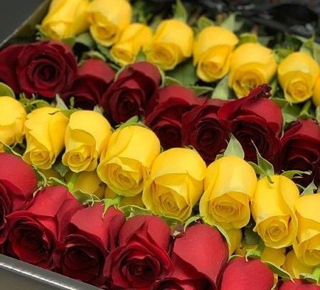 دانلود عکس گل تولدت مبارک