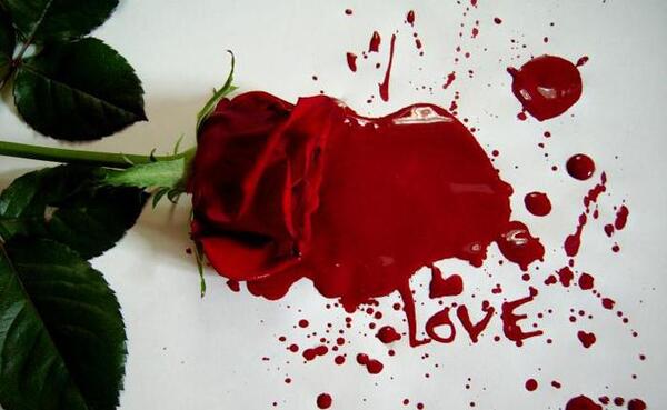 عکس گل جدید عاشقانه
