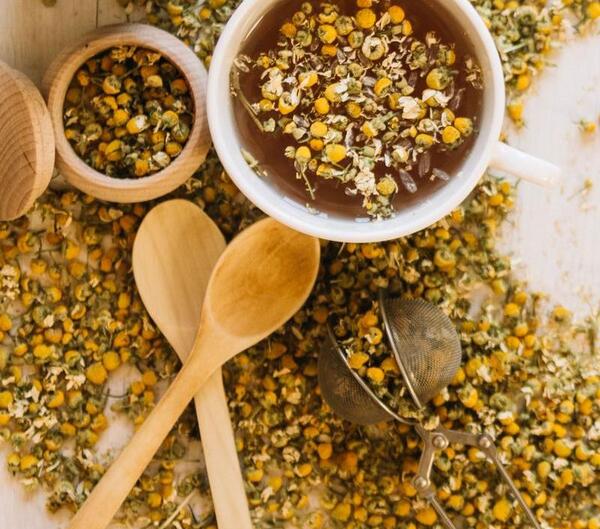 عکس گل بابونه زرد