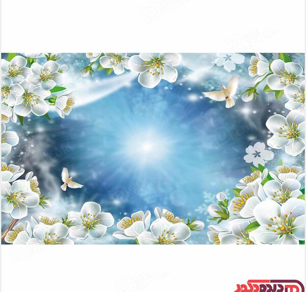 عکس گل آبی آسمانی