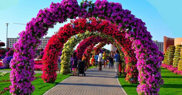 باغ عکس گل های زیبای جهان