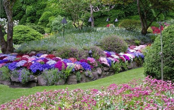 باغ عکس گل های زیبای جهان
