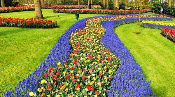 باغ عکس گل های زیبای جهان