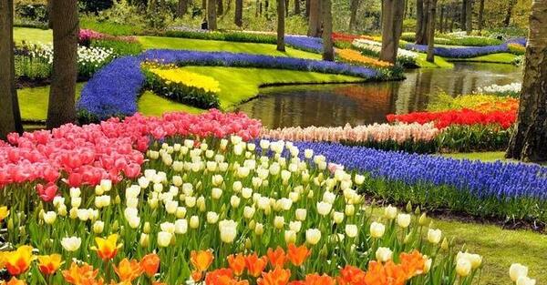 باغ عکس گل های زیبای جهان