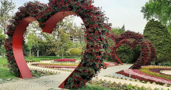 باغ عکس گل های زیبای جهان