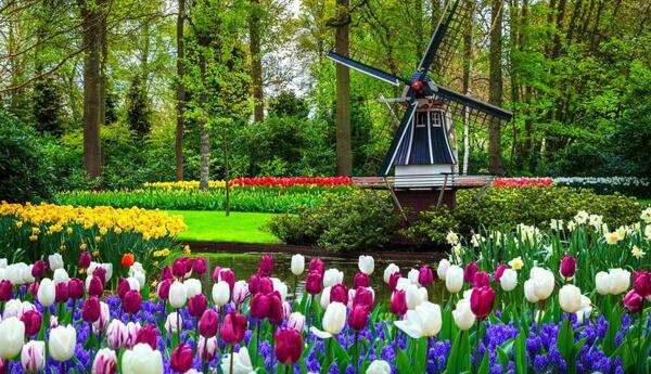 باغ عکس گل های زیبای جهان