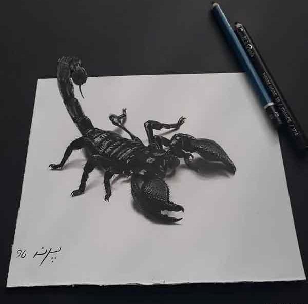 عکس عقرب سیاه