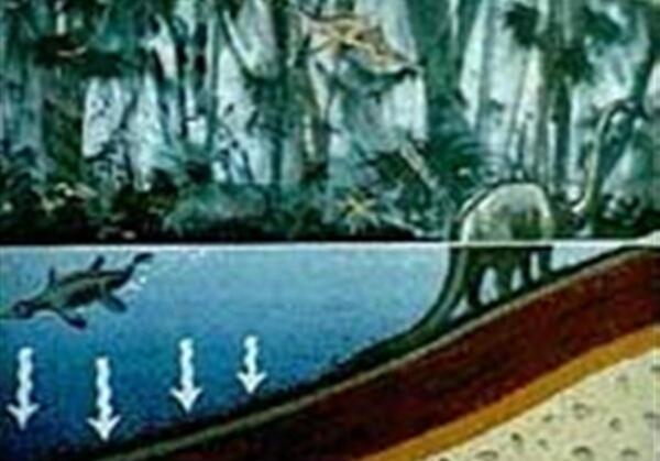 عکس طلای سیاه نفت