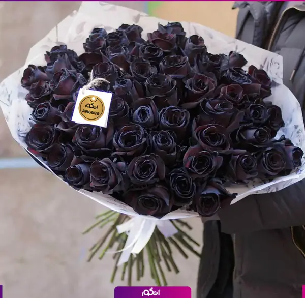 عکس سیاه و سفید گل رز